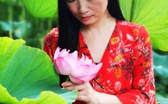 青娱乐老视频分类视频